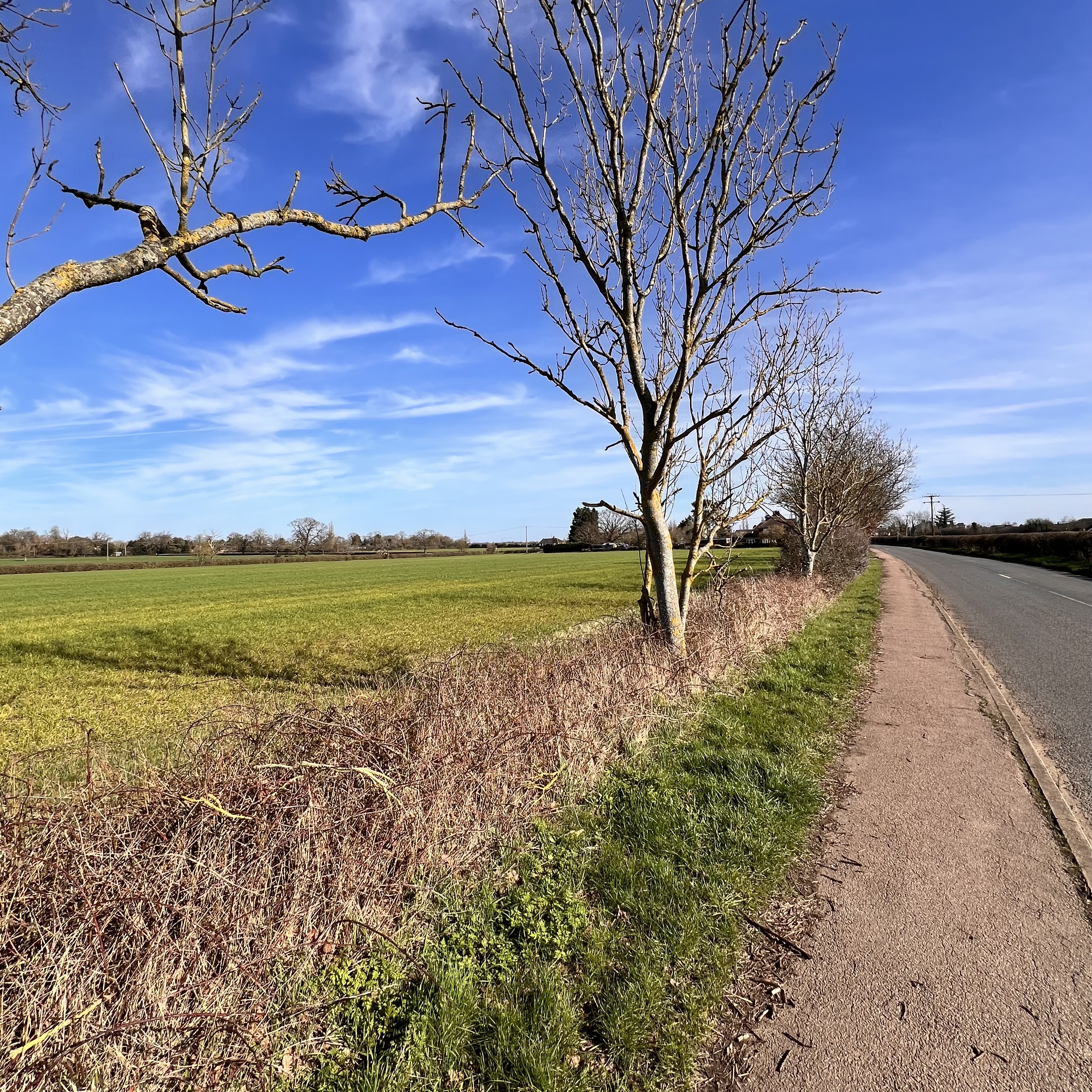 Open field alongside rural road