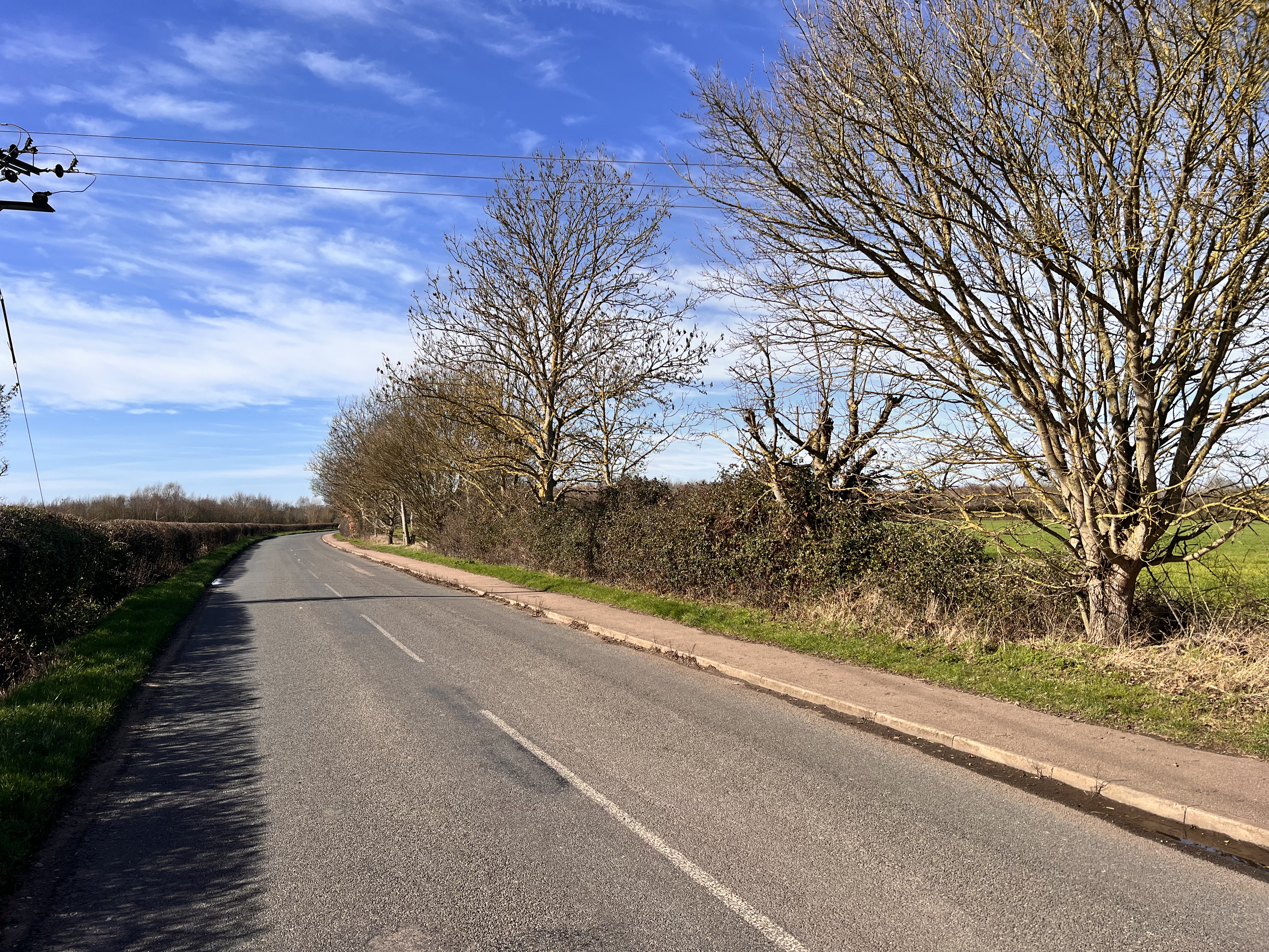 Narrow country lane with hedgerows